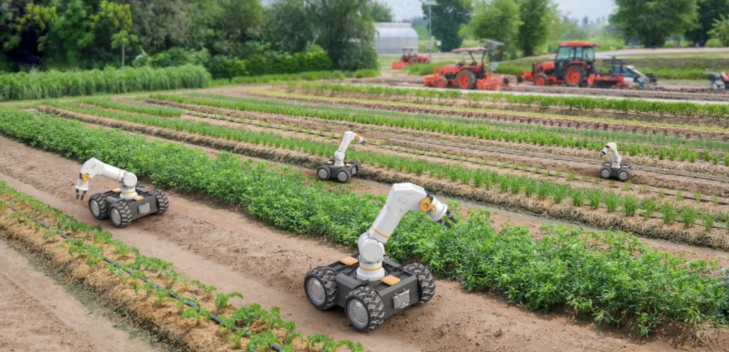 Autonomous Weeding Robot